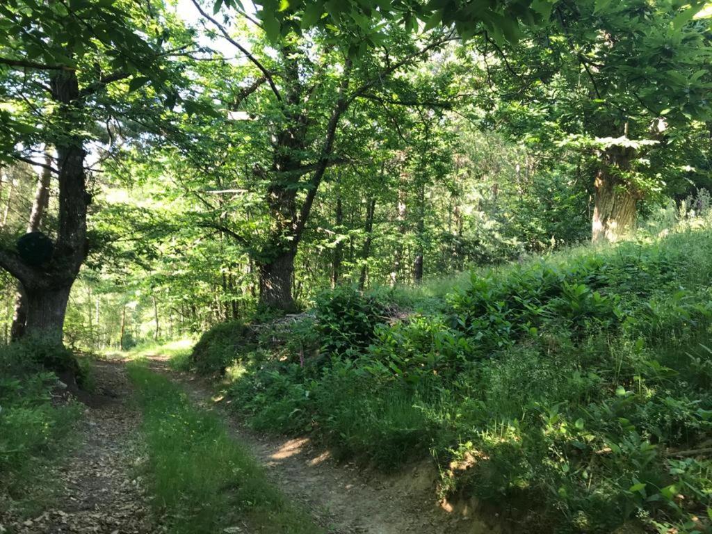 Les Grangeonnes, Nature, Piscine, Bain Nordique, Sauna Pour Accueil Familiale Ou De Groupe Lodge Saint-Basile