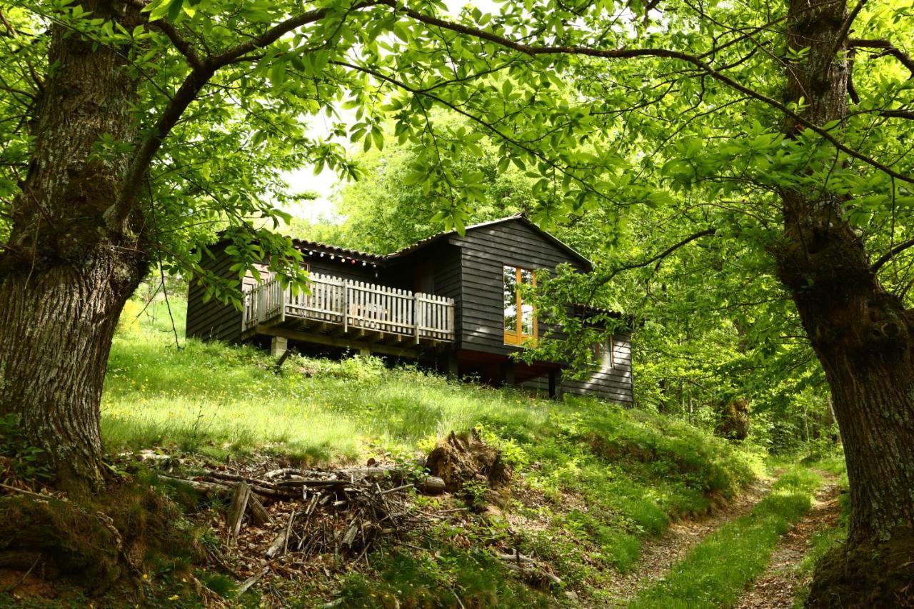 Les Grangeonnes, Nature, Piscine, Bain Nordique, Sauna Pour Accueil Familiale Ou De Groupe Lodge Saint-Basile