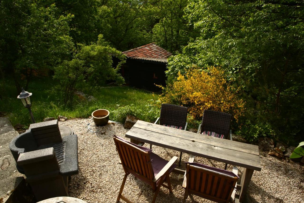 Les Grangeonnes, Nature, Piscine, Bain Nordique, Sauna Pour Accueil Familiale Ou De Groupe Saint-Basile